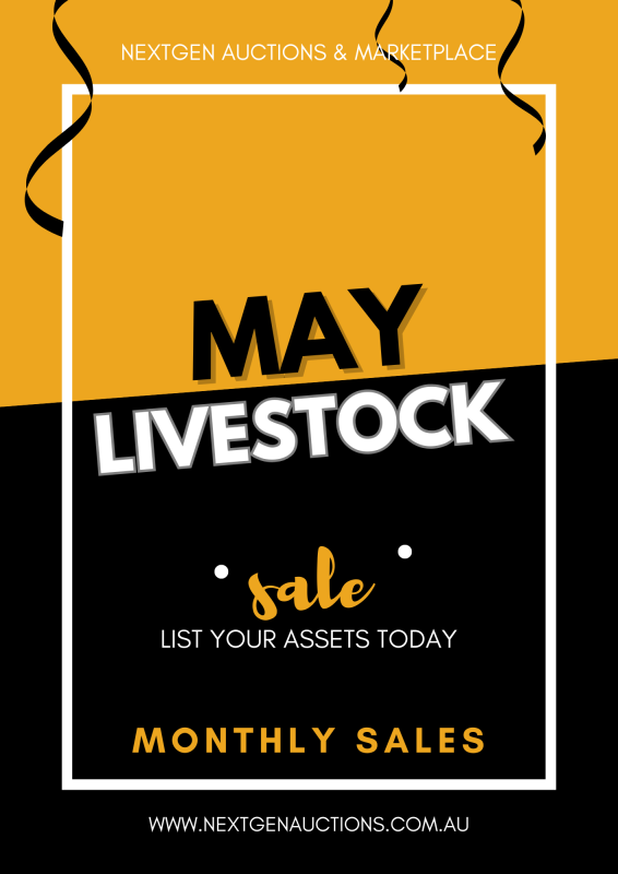 STUD Australia Lowline Herd  Western Australia