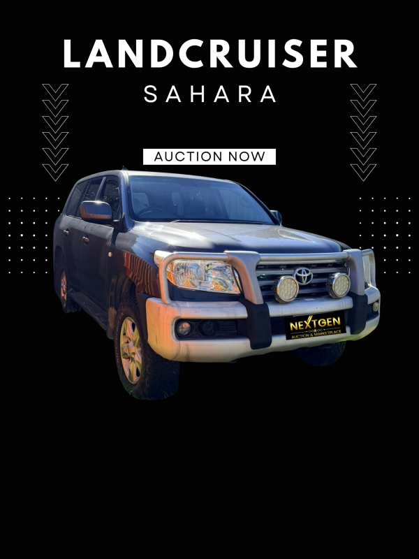 2011 Sahara Landcruiser