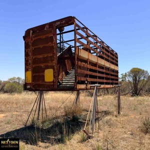 Stock crate with hobs hoist