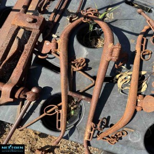 One set of horse Hames Vintage