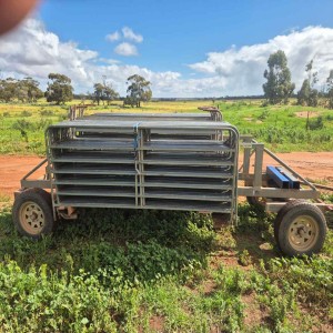 Portable Sheep Yards