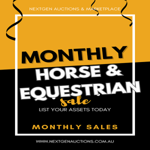 Join our monthly Online horse Auction as a buyer or seller