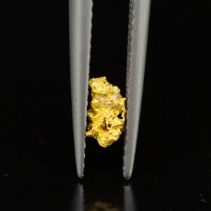 Gold Nugget