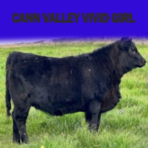 Cann Valley Vivid Girl