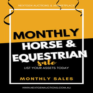 Horses and Horse related Auction