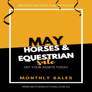 Monthly Horse  Equestrian Online Auction