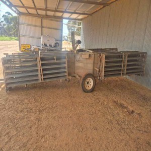 Sheep portable yard with draft